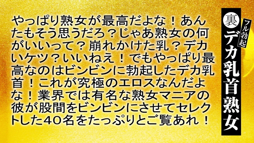 016HEZ-663 裏フル勃起デカ乳首熟女 マニアが厳選した垂涎の40名8時間特別保存版 Sample 15